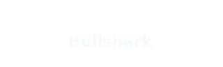 Bullshark
