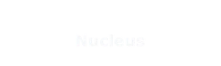Nucleus